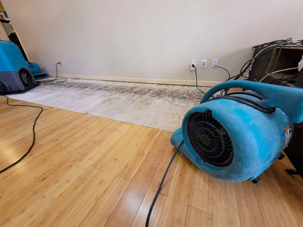 Professional Burst Pipe Water Damage technician working in Towson, MD